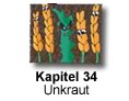 Kapitel 34 - Unkraut